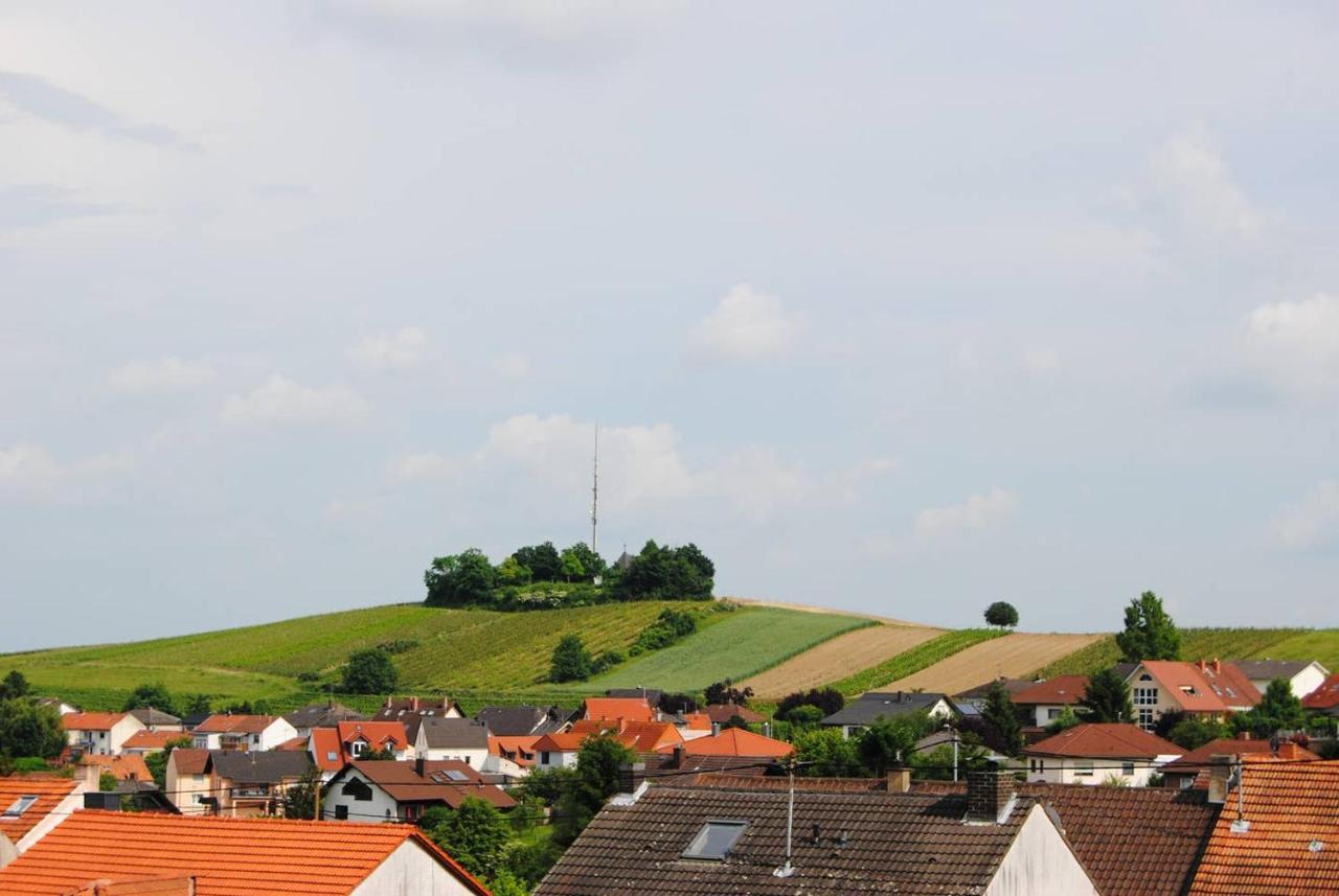 Ferienwohnung Kirchbergblick Hackenheim Dış mekan fotoğraf